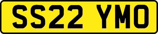 SS22YMO