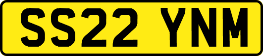 SS22YNM