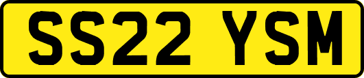 SS22YSM