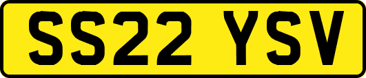 SS22YSV