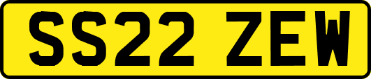 SS22ZEW