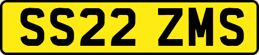 SS22ZMS