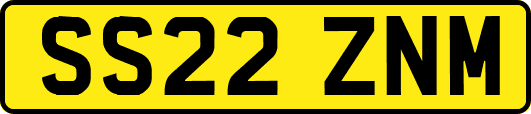 SS22ZNM