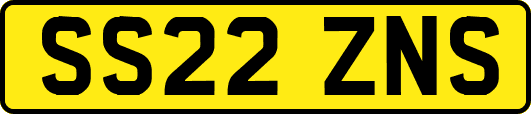 SS22ZNS