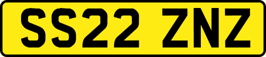 SS22ZNZ
