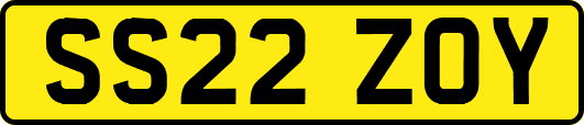 SS22ZOY