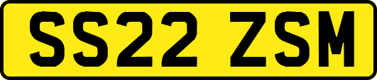 SS22ZSM