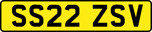SS22ZSV