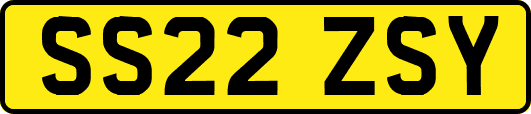 SS22ZSY