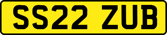 SS22ZUB