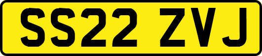SS22ZVJ