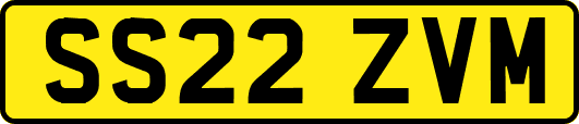 SS22ZVM
