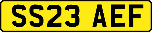 SS23AEF