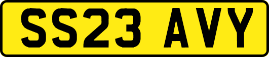 SS23AVY