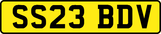 SS23BDV
