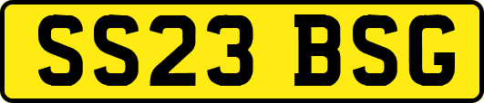 SS23BSG