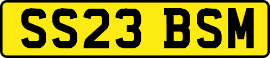 SS23BSM
