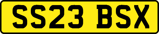 SS23BSX