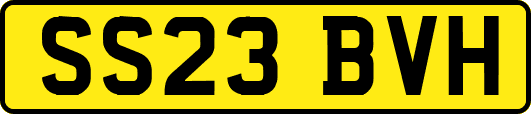 SS23BVH