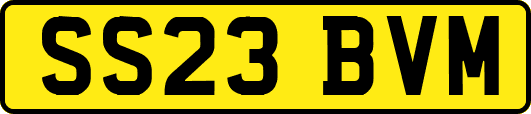SS23BVM