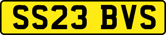 SS23BVS