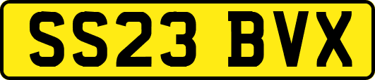 SS23BVX