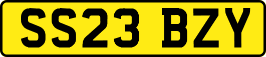 SS23BZY