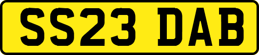 SS23DAB