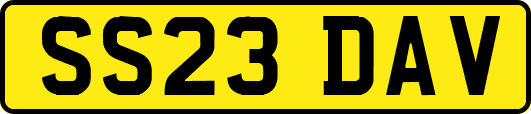 SS23DAV