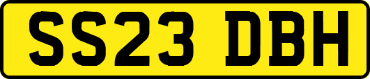 SS23DBH