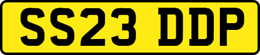 SS23DDP