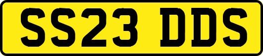 SS23DDS