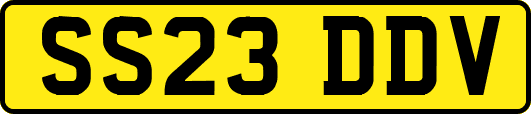 SS23DDV