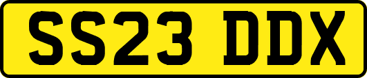 SS23DDX