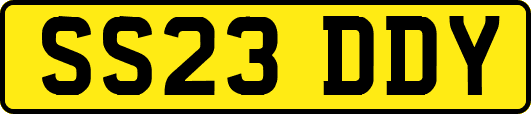 SS23DDY