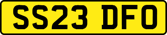 SS23DFO