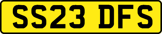 SS23DFS