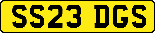 SS23DGS