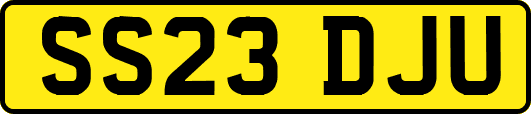 SS23DJU