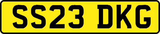 SS23DKG