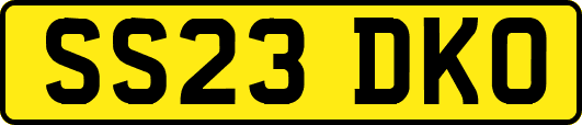 SS23DKO