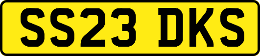 SS23DKS