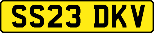 SS23DKV