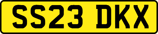 SS23DKX