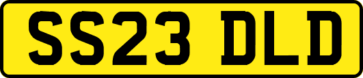 SS23DLD