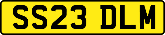 SS23DLM