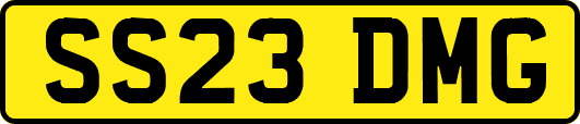 SS23DMG