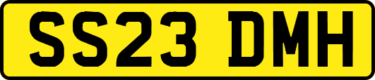 SS23DMH