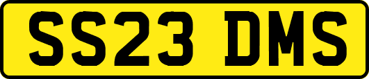 SS23DMS