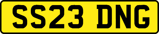 SS23DNG